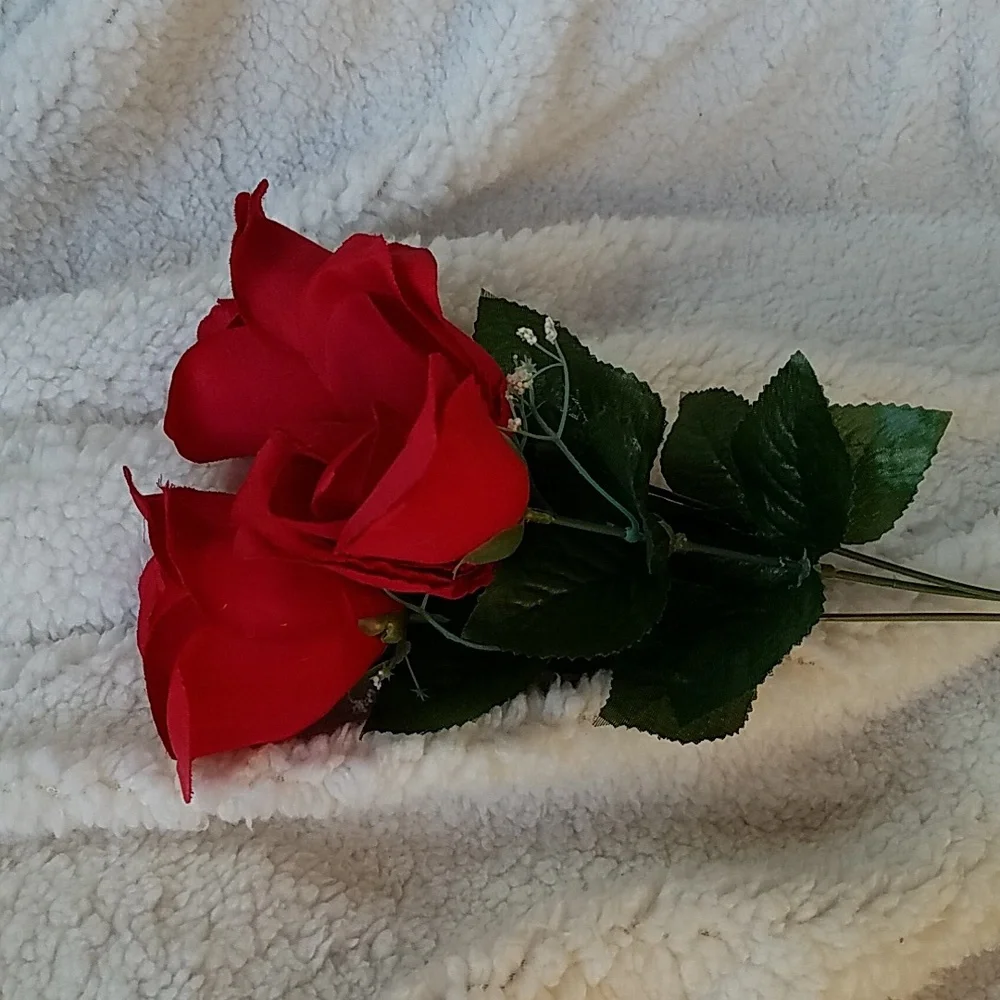 3 LONG STEM ROSES
